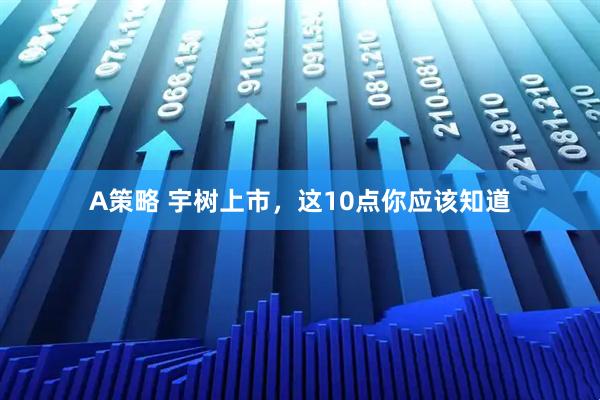 A策略 宇树上市，这10点你应该知道