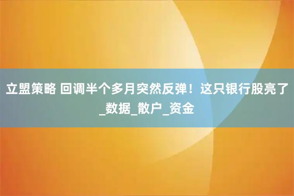 立盟策略 回调半个多月突然反弹！这只银行股亮了_数据_散户_资金