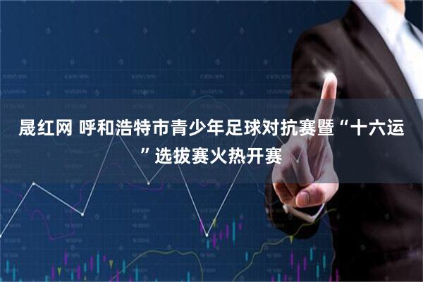 晟红网 呼和浩特市青少年足球对抗赛暨“十六运”选拔赛火热开赛
