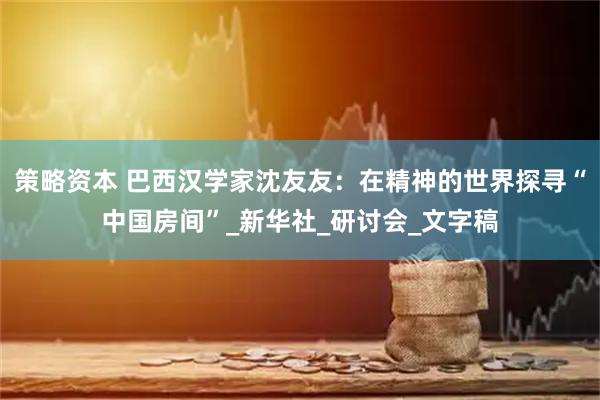 策略资本 巴西汉学家沈友友：在精神的世界探寻“中国房间”_新华社_研讨会_文字稿